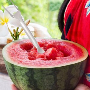 2024 Watermelon Cutter, 2-in-1 Stainless Steel Fruit Knife Watermelon Fork Slicer Cutter Slicer Tool Dual Head Fruit Forks Slicer Knife Summer Portable Fruit Cutting Knife Fork for Home (1, C)