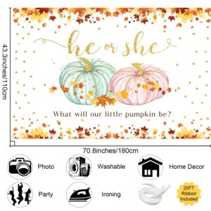 MEHOFOND XtraLarge Pumpkin Gender Reveal Banner Backdrop(72x44Inch) Fall Pumpkin Baby Shower Party Decorations Supplies Thanksgiving Baby Shower Banner Autumn Golden Maple Leaves Party Decorations