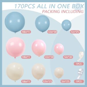 170PCS Gender Reveal Baby Shower Party Decorations Supplies Backdrop, Dusty Pink and Blue Sand White Balloons Gender Reveal Baby Shower Balloon Garland Arch Kit