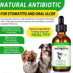 Natural Antibiotics for Dogs - Pet Antibiotic - Healing Aid and Skin Repair for Wounds, Sores, and Abrasions, Helps with Itchy and Irritated Skin - Duck Flavor