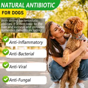 Natural Antibiotics for Dogs - Pet Antibiotic - Healing Aid and Skin Repair for Wounds, Sores, and Abrasions, Helps with Itchy and Irritated Skin - Duck Flavor