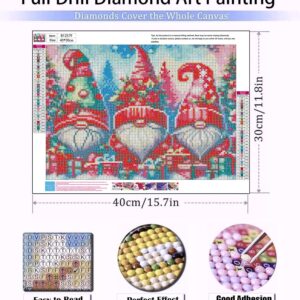 Diamond Art Kits for Adults Gnomes Diamond Painting Christmas Kits for Adults Beginners Round 5D Paint by Diamonds Gem Dots Art Gnomes Painting Crafts Kits Home Decor Gifts 12x16in (Christmas Gnomes)