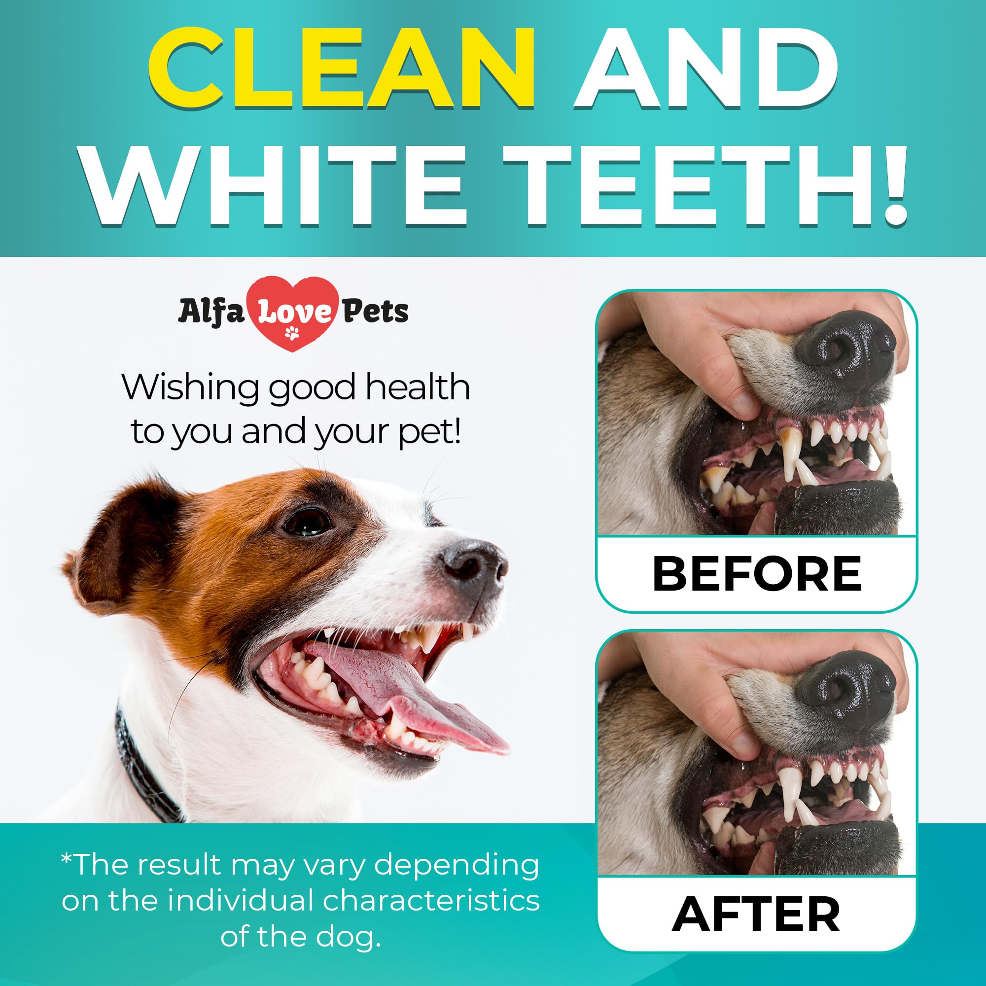 Dental Cleaning Powder ✿ Plaque Off Powder Dog ✿ Dog Teeth Cleaning Powder ✿ Plaque Remover for Teeth Dog ✿ Dog Dental Powder ✿ Dental Powder for Dogs Teeth ✿ Dog Tartar Remover for Teeth ✿ 100 G