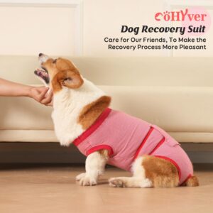 COHYVER Dog Cone, Professional Pet Recovery Shirt Dog Abdominal Wounds Bandages for Male Female, Pet Surgical Snugly Suit After Surgery, Anti-Licking Dog Onesies, Size L Red Stripes