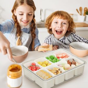 2 Pack Portable Snackle Box Container, Divided Serving Tray with Lid and Handle, Fruits, Clear Snack Platter Organizer and Storage for Adults Child (11.81" L*8.85"W-2pcs-8 Compartments)