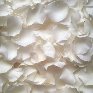 3.5oz Real Rose Petals, Freeze Dried Perfect Preserved White Flower Petals for Wedding Party Decor, Flower Girl, Dinner table Centerpieces, Bridal Shower, Flower Confetti 100g