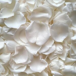 3.5oz real rose petals, freeze dried perfect preserved white flower petals for wedding party decor, flower girl, dinner table centerpieces, bridal shower, flower confetti 100g