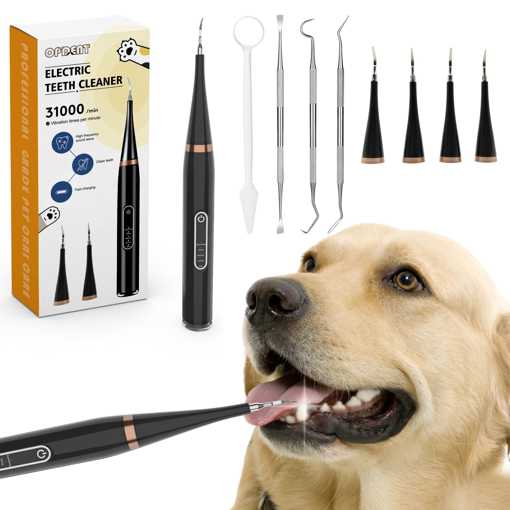 Opdent Plaque Remover for Teeth - Electric Toothbrush for Dogs Pet Brush Set,Electric Five Modes + 4 Cleaning Head, Effective Care of Teeth, pet Must Have, Help Dog Oral Health. (Black, Large)