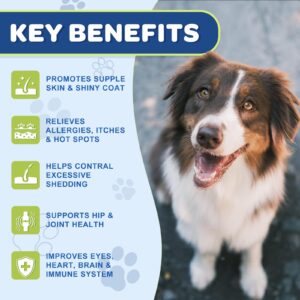 Probiotics for Dogs - Omega 3 Fish Oil for Dogs