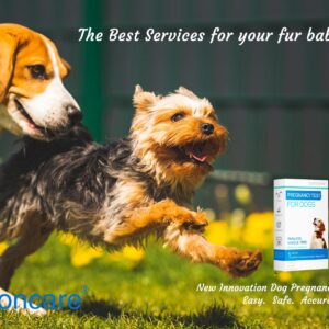 Dog Pregnancy Test at Home, 98% Accuracy, Painless to get Sample No Equipment Required Qucik Result at 5 Minutes Easy NO Mess