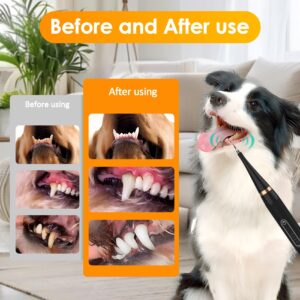 Opdent Plaque Remover for Teeth - Electric Toothbrush for Dogs Pet Brush Set,Electric Five Modes + 4 Cleaning Head, Effective Care of Teeth, pet Must Have, Help Dog Oral Health. (Black, Large)