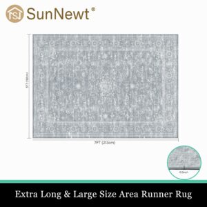 SunNewt Area Rug Living Room Rug 5'x 7' Non-Slip Washable Rug Stain Resistant Bedroom Rug Low Plie Entryway Rug Pale Grey