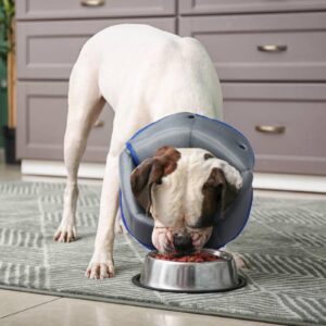 Dog Cone for Dogs After Surgery,Adjustable Protective Dog Recovery Collars & Cones for Large Medium Small Dogs Cats,Comfy Soft Dog Cones Prevent Pets from Touching Stitches Rashes,Wounds,Blue,L