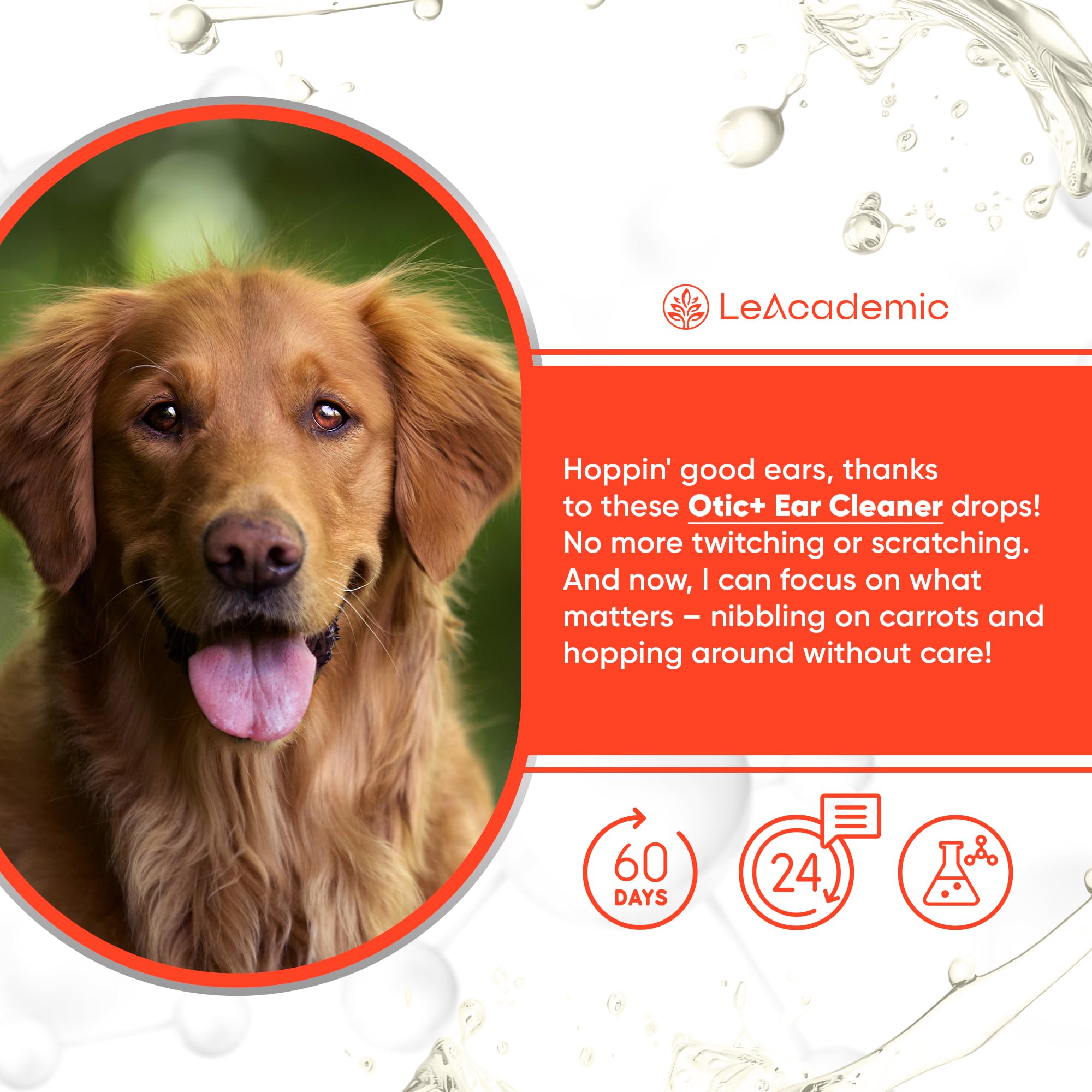 LeAcademic Dog Ear Infection Treatment | for Cat & Dog Ear Infection, Itching, Wounds | Colloidal Silver + Chlorhexidine | Ear Infection Treatment for Dogs, Pets | OTIC+ Ear Cleaner Drops | 2 Oz