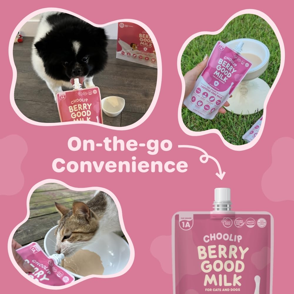 Choolip Berry Good Pet Milk. 10pk Vitamin-Infused Cat Milk, Dog, Kitten, Puppy Milk. Dog Bladder Support, Cat Kidney Support, Cat Urinary Supplement Cranberry, Omega 3, CoQ10, Glucosamine, Taurine