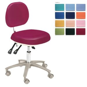 HS-6 PU Leather Adjustable Mobile Doctor's Chair Deluxe Dentist Stool with Backrest Five Star Casters