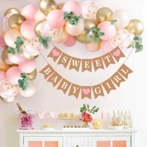 Sweet Baby Girl Banner Baby Girl Shower Banner Baby Girl Shower Sign Baby Shower Banner for Girl for Baby Girl Shower Decor Rustic Baby Shower Decorations Girl Pink Baby Shower Decorations