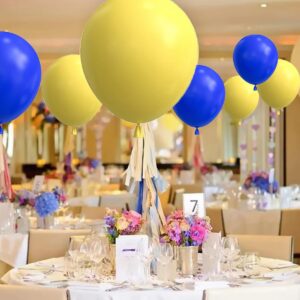 Blue Yellow Balloon Arch Garland Kit - Royal Blue and Yellow Balloons Yellow Blue Balloons Latex Balloons for Wedding Graduation Anniversary Bridal Shower Birthday Party Decorations