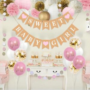 Sweet Baby Girl Banner Baby Girl Shower Banner Baby Girl Shower Sign Baby Shower Banner for Girl for Baby Girl Shower Decor Rustic Baby Shower Decorations Girl Pink Baby Shower Decorations