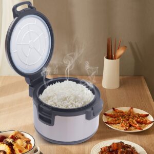 Rice Warmer 20oz, Commercial Grade Electric Rice Warmer, Rice Cooker, Rice Pot, 100 Cup 19L Heavy Duty Stainless Steel Rice Warmer, Non Stick Inner Pot