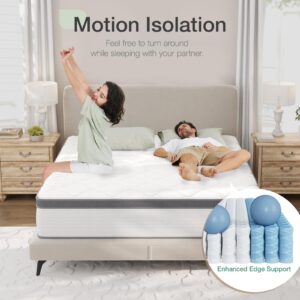 Novilla Queen Size Mattress, 10 Inch Queen Hybrid Mattress in a Box, Pocket Innerspring Mattress Queen for Motion Isolation, Pressure Relief, Sopportive & Firm Feel