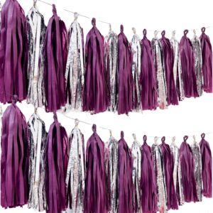 daihellenstone 20 pcs diy tissue tassel garland kit kraft burgundy silver party streamers bunting banner backdrop for wedding party bridal shower centerpieces table decorations