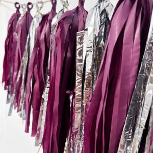 Daihellenstone 20 PCS DIY Tissue Tassel Garland Kit Kraft Burgundy Silver Party Streamers Bunting Banner Backdrop for Wedding Party Bridal Shower Centerpieces Table Decorations