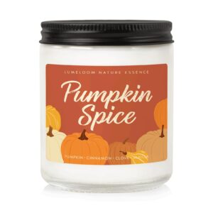 lumeloom fall candles, pumpkin candle - 9oz aromatherapy cinnamon pumpkin spice scented soy wax candle - pumpkin candle for home, autumn candle, fall gifts for women