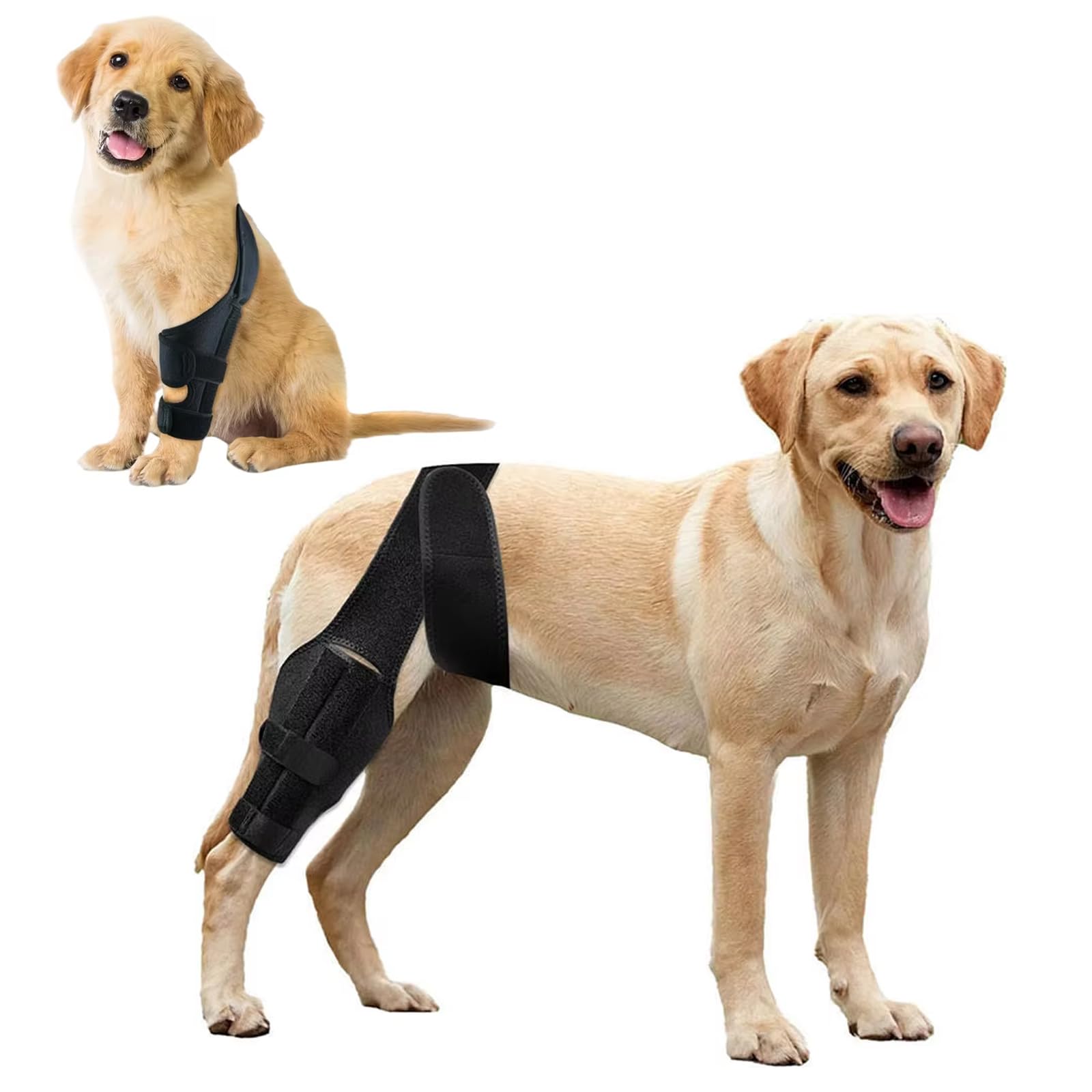 Knee Brace for Dog Torn Acl, Dog Knee Leg ACL Brace Adjustable Dog Braces for Back Leg for Support for Dog ACL CCL Recovery with Dog Leg Braces for Dog Hind Leg Reduce Pain & Muscle Sore (L)