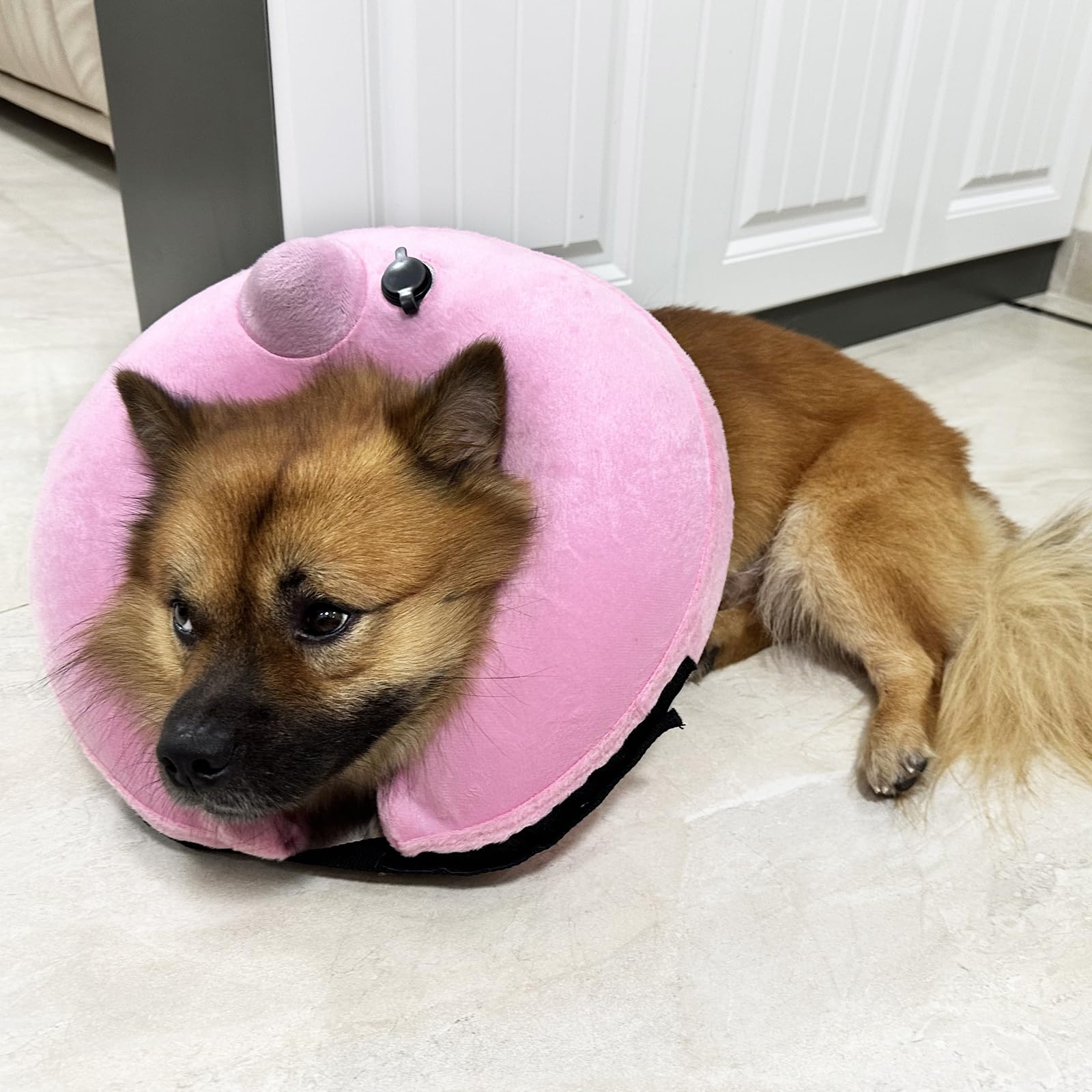 BGGo Inflatable Dog Cone Collar for Dogs After Surgery, Self-Inflating Soft Adjustable Blow up Donut Dog E-Collar for Medium Large Dog and Cats