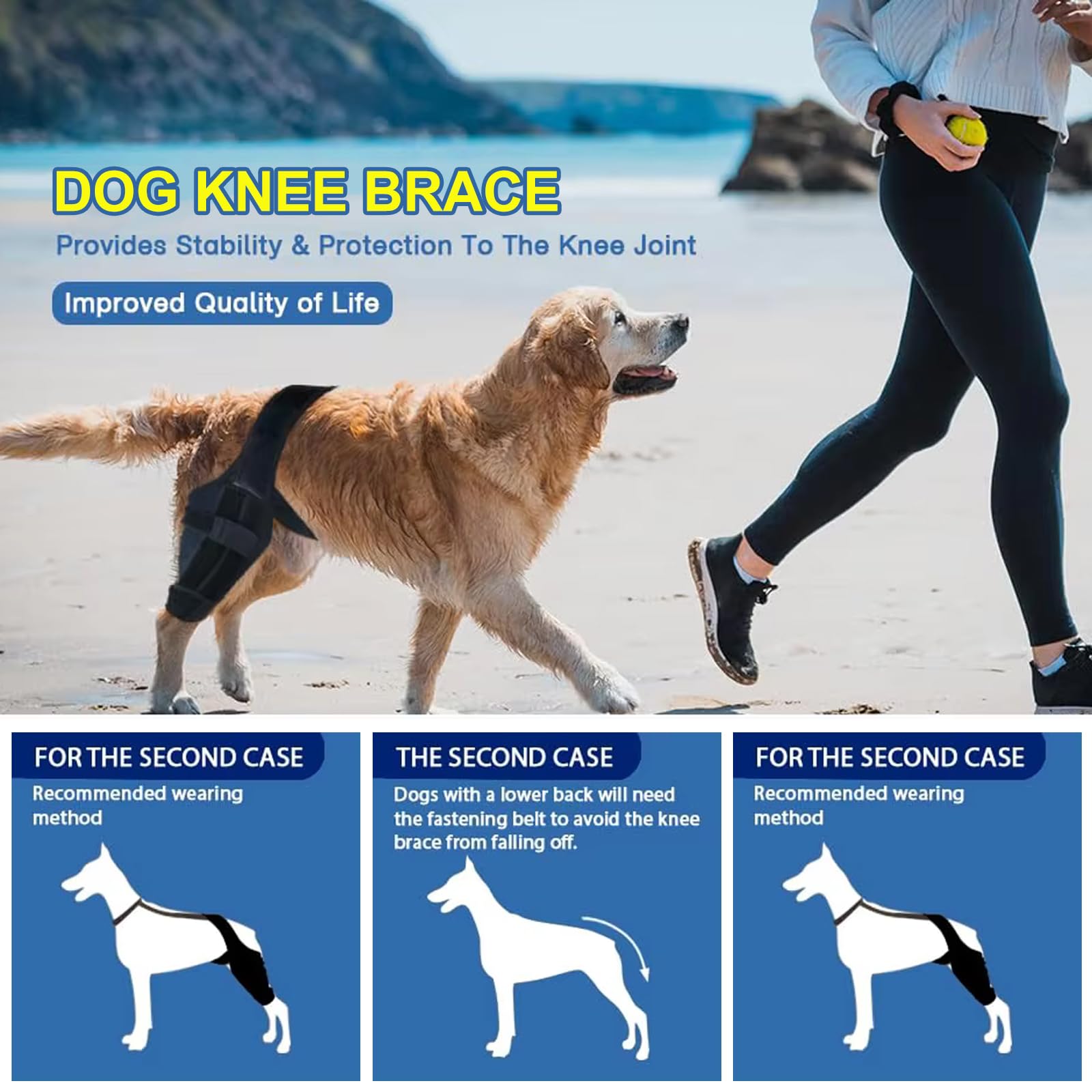 Knee Brace for Dog Torn Acl, Dog Knee Leg ACL Brace Adjustable Dog Braces for Back Leg for Support for Dog ACL CCL Recovery with Dog Leg Braces for Dog Hind Leg Reduce Pain & Muscle Sore (L)