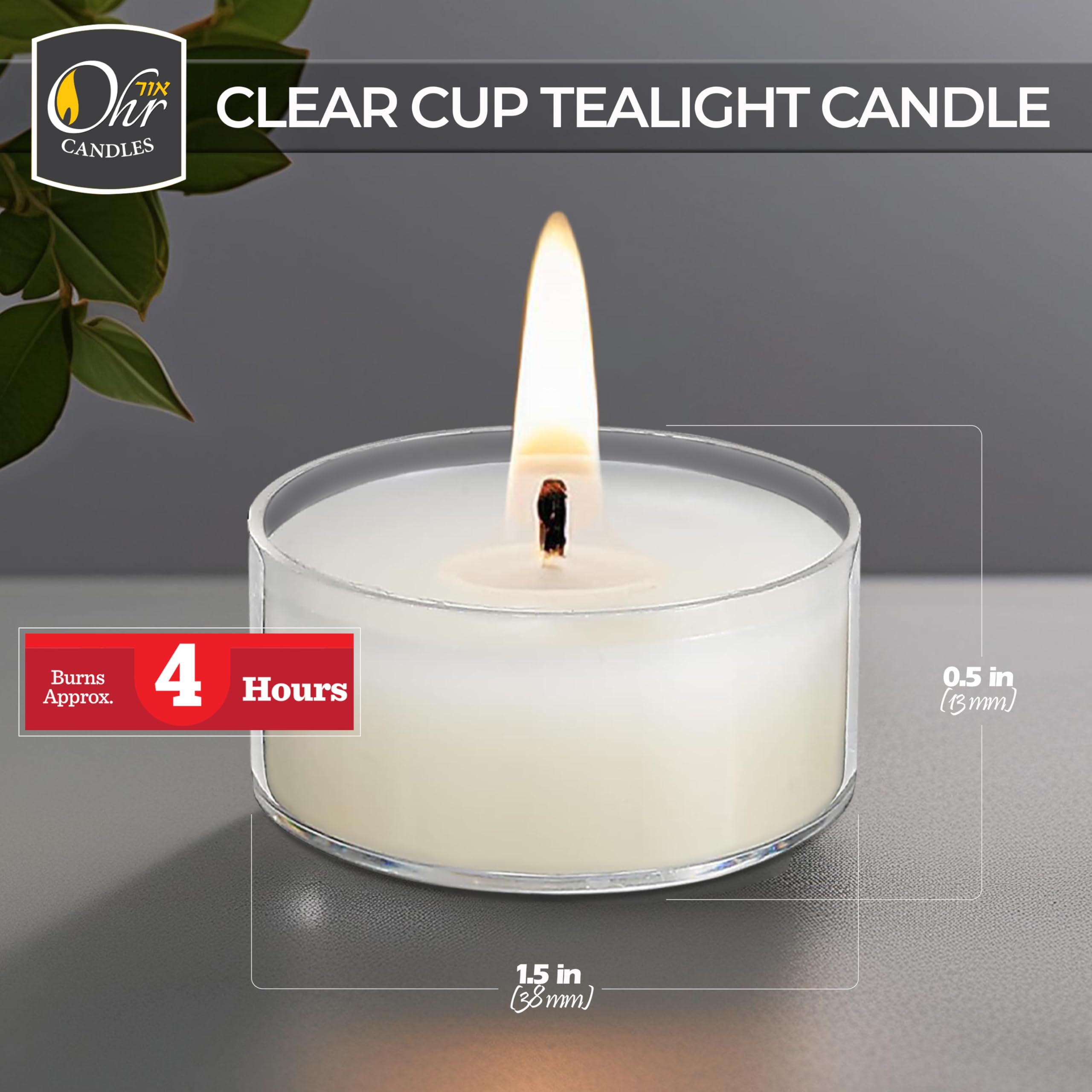 Ohr Tealight Candles in Clear Cup - 50 Pack Bulk Tea Lights Candles - White Tealights Unscented - 4 Hour Burn Time