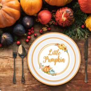 170PCS Little Pumpkin Baby Shower Decorations Plates, Cups, Napkins, Banner, Tablecloth and Cutlery for Fall A Little Pumpkin is On The Way Baby Shower, Serves 24