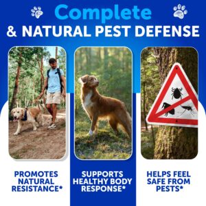 Flea and Tick Chewables for Dogs - Made in USA - Natural Flea and Tick Supplement for Dogs - Oral Flea Pills for Dogs - All Breeds and Ages - 70 Chews