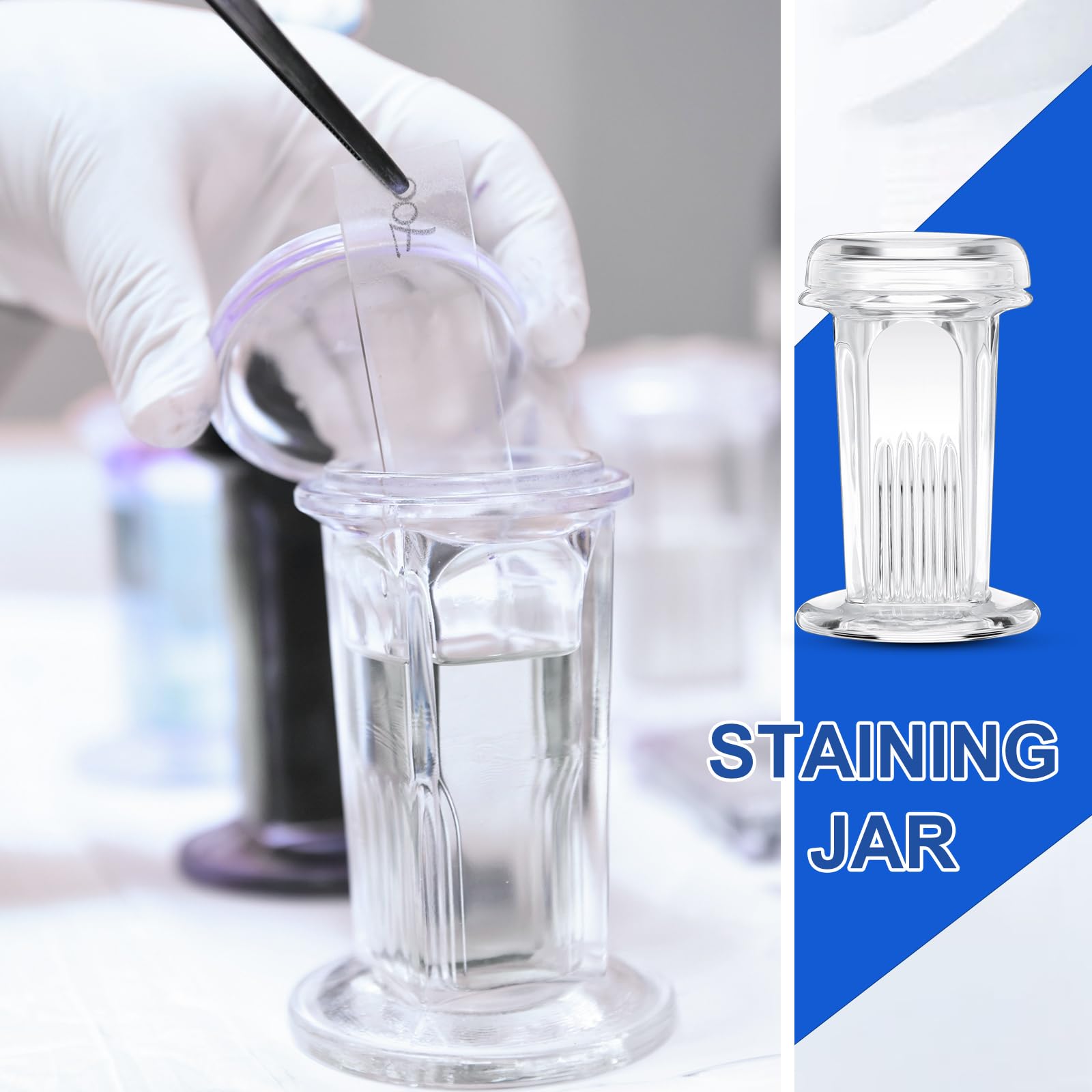 Sieral 6 Pieces Staining Jar 5 Slides Capacity Staining Tank 60 ml Glass Jar with Lid for Lab Microscope Supplies