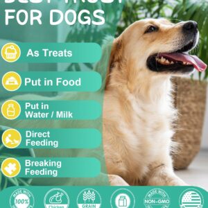 Skin and Coat Chews for Dogs - Omega 3 Supplement for Dogs with EPA & DHA Fatty Acids- Fish Oil Chews for Dogs with Salmon Oil & Vitamins - Dog Itchy, Dry & Shedding Skin Relief- Chicken, 120 Chews