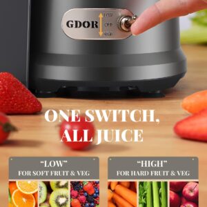 GDOR 1200W Juicer with Larger 3.2" Feed Chute, Titanium Enhanced Cutting System, Centrifugal Juice Extractor Maker with Heavy Duty Full Copper Motor, Dual Speeds, BPA-Free, Gun Grey