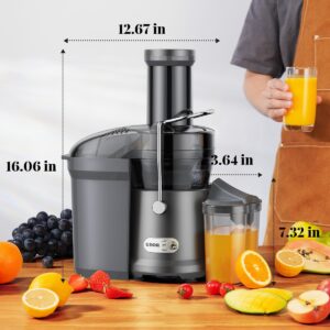 GDOR 1200W Juicer with Larger 3.2" Feed Chute, Titanium Enhanced Cutting System, Centrifugal Juice Extractor Maker with Heavy Duty Full Copper Motor, Dual Speeds, BPA-Free, Gun Grey