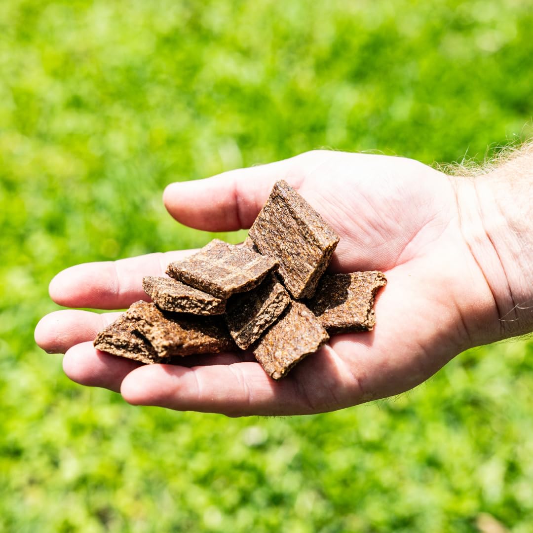 Los Ciervos Venison Jerky Dog Treats