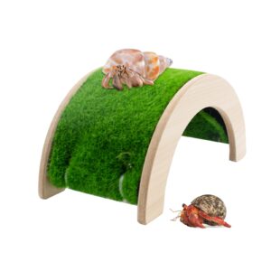 hermit crabs climbing bridge with moss, hermit crab hideout hermit crab climbing toy reptile climbing decor aquarium tank accessory for small or medium hermit crab habitat