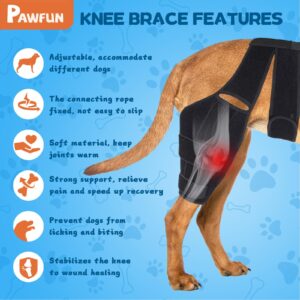 Pawfun Dog Knee Brace for Torn ACL Hind Leg, Dog Leg Brace for Large and Small Dogs with Hip Dysplasia, CCL, Ligament Injuries or Osteoarthritis, Both Back and Front Legs (Large)