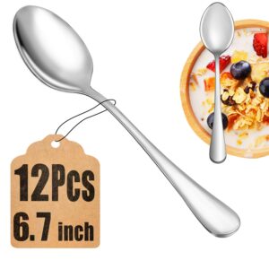 12 piece teaspoons set,food grade 18/10 stainless steel tea spoons,durable small spoons,metal dessert spoon,spoons silverware for home,kitchen or restaurant,mirror polished & dishwasher safe,6.7-inch