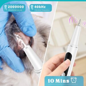 Joymiuz Plaque Remover for Teeth - 5 Modes Pet Ultrasonic Toothbrush Cleaner - Teeth Cleaning Kit for Tartar and Stains - Suitable for Dogs and Cats