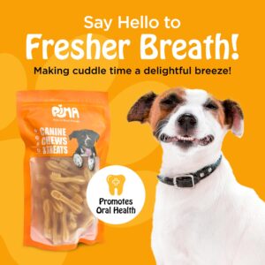 PIMA - Cheesy Dental Dog Brush Treat, Yak Cheese Dental Chews for Dogs, Natural Dog Teeth Cleaning Treat for Fresh Breath, Lactose, Corn, Grain, Soy & Rawhide - Free (4 oz, Dental Brush)