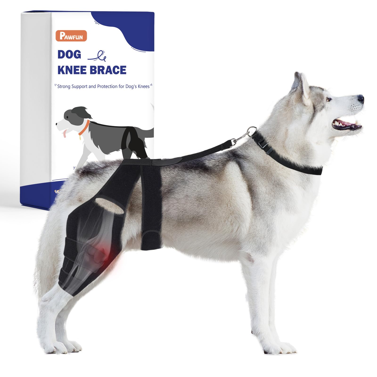 Pawfun Dog Knee Brace for Torn ACL Hind Leg, Dog Leg Brace for Large and Small Dogs with Hip Dysplasia, CCL, Ligament Injuries or Osteoarthritis, Both Back and Front Legs (Large)