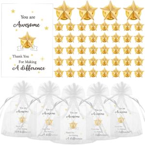 nosiny 50 set christmas employee appreciation gifts include star badge lapel pins bulk nurse inspirational greeting cards and bag operation christmas thank you gifts for women team volunteer student