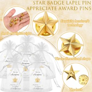 Nosiny 50 Set Christmas Employee Appreciation Gifts Include Star Badge Lapel Pins Bulk Nurse Inspirational Greeting Cards and Bag Operation Christmas Thank You Gifts for Women Team Volunteer Student