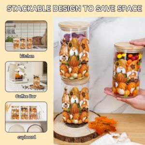 ANOTION Glass Storage Jars with Lids - Fall Gnomes Glass Jars 18oz Glass Food Storage Containers for Kitchen Storage, Pantry, Canning Jars for Storage Cookie, Sugar, Candy, Tea, Coffee, 3 Packs