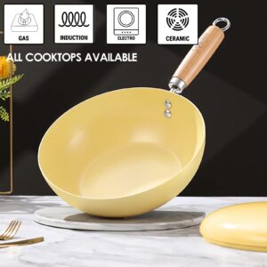 RosyMyth Non Stick Frying Pan, Double-sided Ceramic Coating Mini Wok, 24cm / 9.4 Inch / 2.3 quart Capacity, Yellow