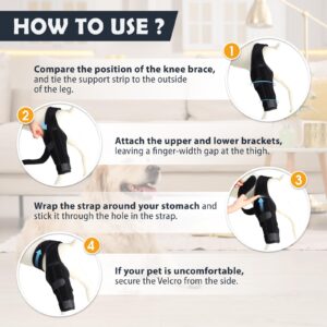 Dog Knee Brace for Torn ACL Hind Leg, Support Strip Design Ensures Stability, Adjustable Dog Back Leg Support Brace for Dogs Rear Leg, Reduce Joint Pain、Muscle Soreness and Inflammation (Size: M)